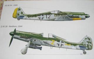 Imagine atasata: fw_190_italeri.jpg