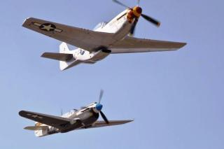Imagine atasata: Redtails8comp.jpg
