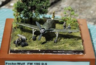 Imagine atasata: FW-1.jpg