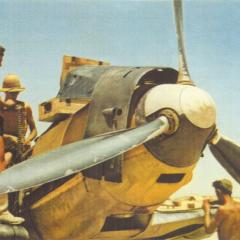 Imagine atasata: Bf-109E-JG27-Amourers-reloading-Gazala-North-Africa-1941-1-376x376.jpg