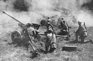 Imagine atasata: pak40sov_captured_german.jpg