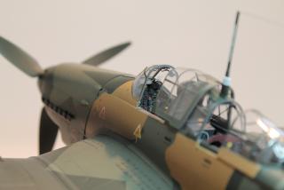 Imagine atasata: IMG_1901s.jpg