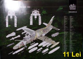 Imagine atasata: Poster - 60X42 (1045).JPG