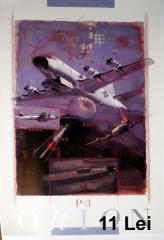 Imagine atasata: Poster - 92X58 (1067).JPG