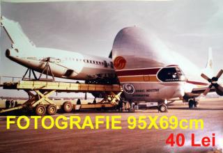 Imagine atasata: Poster - 95X69 (1073).JPG