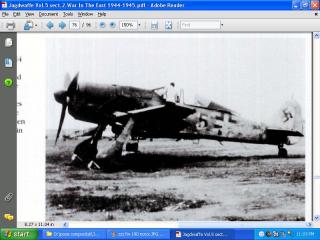 Imagine atasata: zzz fw 190 noroi 1.JPG