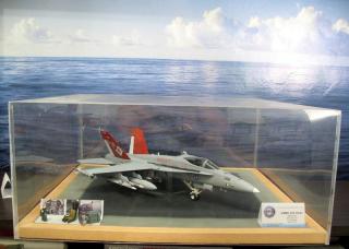 Imagine atasata: f-18 2.jpg