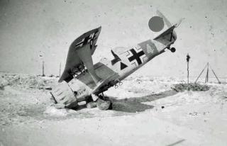 Imagine atasata: henschel____iarna.JPG