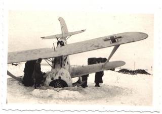 Imagine atasata: henschel__iarna.JPG
