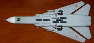 Imagine atasata: SU-24 belly.JPG