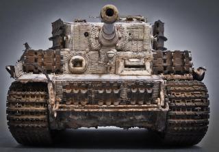 Imagine atasata: Tiger (7)-2.jpg