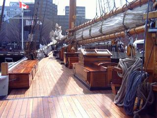Imagine atasata: bluenose.jpg