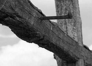 Imagine atasata: rastignirea-crucificarea-crucea.jpg
