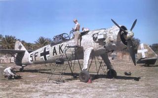 Imagine atasata: africa henschel.JPG