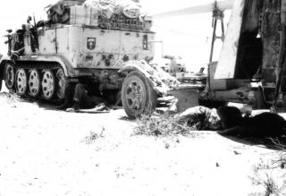 Imagine atasata: africa sdkfz cu tun.JPG