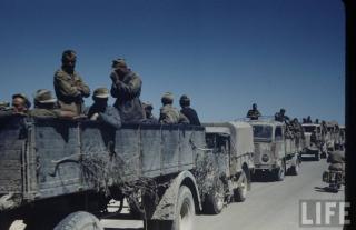 Imagine atasata: africa fiat ral.JPG