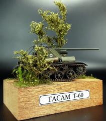 Imagine atasata: TACAM T-60 05-1.jpg