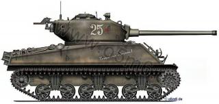 Imagine atasata: M4A22076mm_2_small.jpg