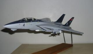 Imagine atasata: F-14 3.jpg