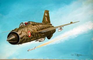 Imagine atasata: mig_21.jpg