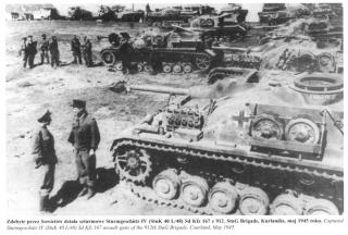 Imagine atasata: stug_4.JPG