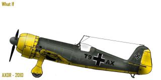 Imagine atasata: IAR_80_Luftwaffe_copy.jpg