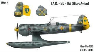 Imagine atasata: IAR_80_HidroAvion_copyPLUS.jpg