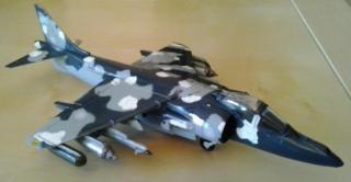 Imagine atasata: Harrier.JPG