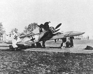 Imagine atasata: fw 190 a2 7brown posibil cel cu gura rechin si ochi.jpg