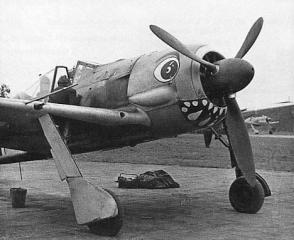 Imagine atasata: fw 190 a1 7JG1 Harry Koch france 42 1.jpg