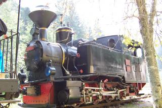 Imagine atasata: MM_26.08.07__332_.jpg