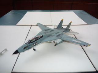 Imagine atasata: Grumman F-14 - Geometrie Variabila - Scara 1-72 - 30 Lei - 01.JPG