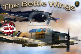 Imagine atasata: batle wings 2ex.jpg