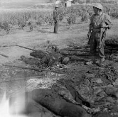 Imagine atasata: dead_german_paratrooper_crete._ww2._between_19391945._da01108..jpg