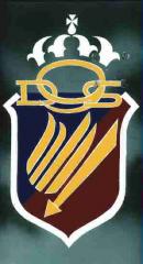 Imagine atasata: EmblemaDS9V_web.jpg