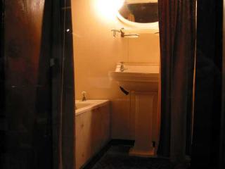 Imagine atasata: monty_bathroom.jpg
