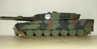 Imagine atasata: Leopard1.jpg