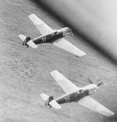 Imagine atasata: Messerschmitt-Bf-109E3-FARR-7-Grupul-Yellow-31-WNr-2328-and-Yellow-35-Vanatoare-Romania-1941-01 (1).jpg