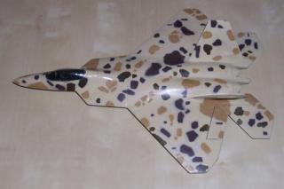 Imagine atasata: f-22.JPG