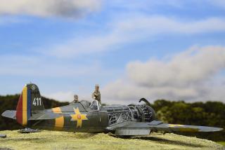 Imagine atasata: IAR81C411_13.jpg