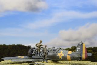 Imagine atasata: IAR81C411_14.jpg