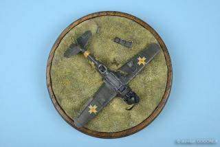 Imagine atasata: IAR81C411_03.jpg