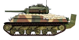 Imagine atasata: M4A3_Wood_camo_5_w.jpg