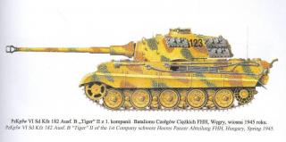 Imagine atasata: tiger2_colors_2.JPG