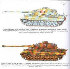 Imagine atasata: tiger2_colors_3.JPG