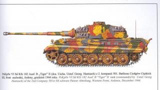 Imagine atasata: tiger2_colors_4.JPG