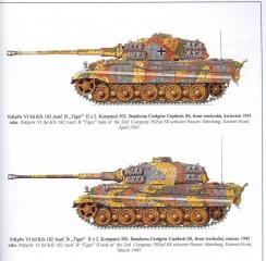 Imagine atasata: tiger2_colors_5.JPG