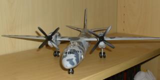 Imagine atasata: AN-32 2.jpg