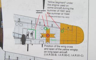 Imagine atasata: IAR 81 C_446 164.JPG