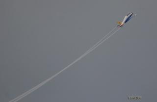 Imagine atasata: IMG_4455_.jpg